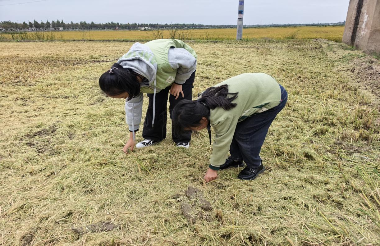 1761452196747764.png 图片1.png