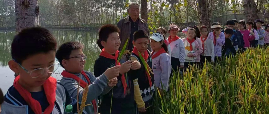 1761619356258468.jpg 02.jpg