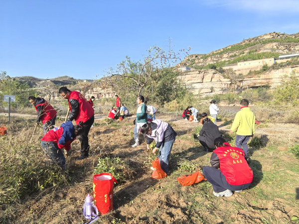 1761638398203069.png 25101049.png