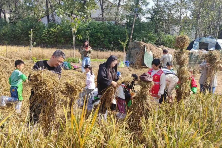 1762353510627957.jpg 640.jpg