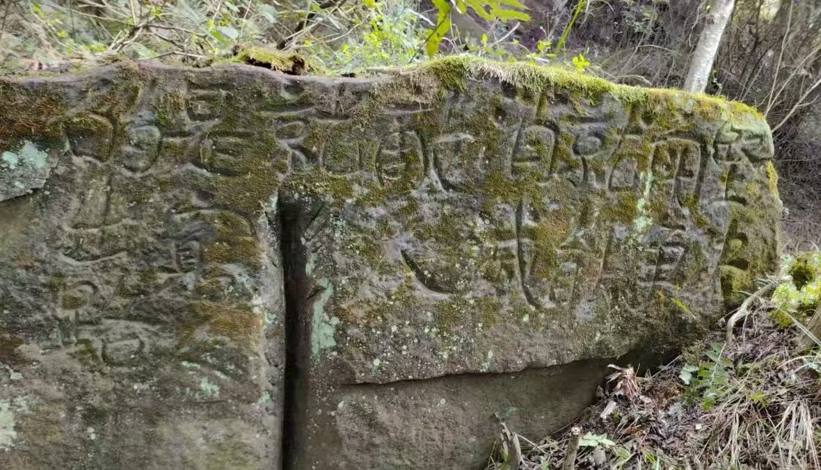 1762413409389120.jpg 微信图片_20251106151618_12_17.jpg