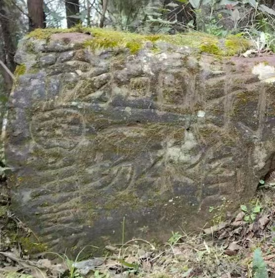 1762416642153821.jpg 微信图片_20251106161009_4_17.jpg