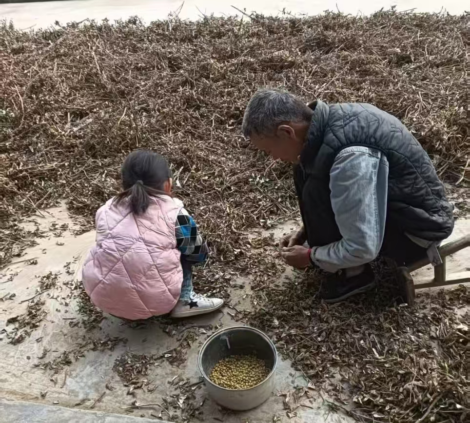 1764289371470898.jpg 3.jpg