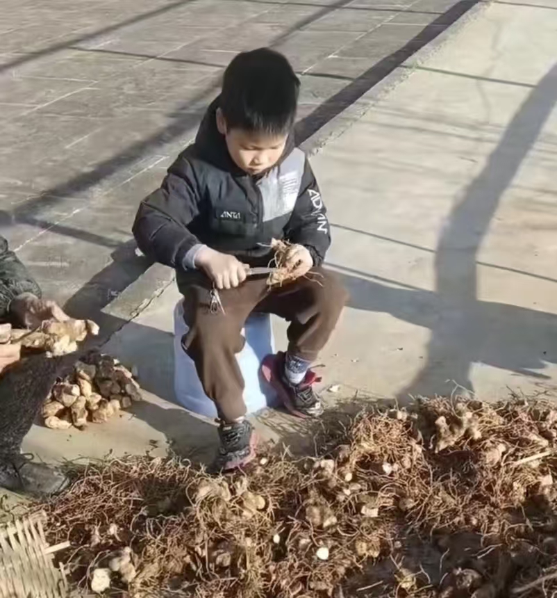 1764289402868228.jpg 4.jpg