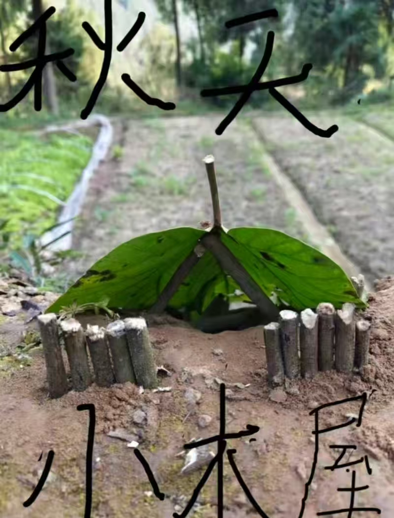 1764289511716361.jpg 8.jpg