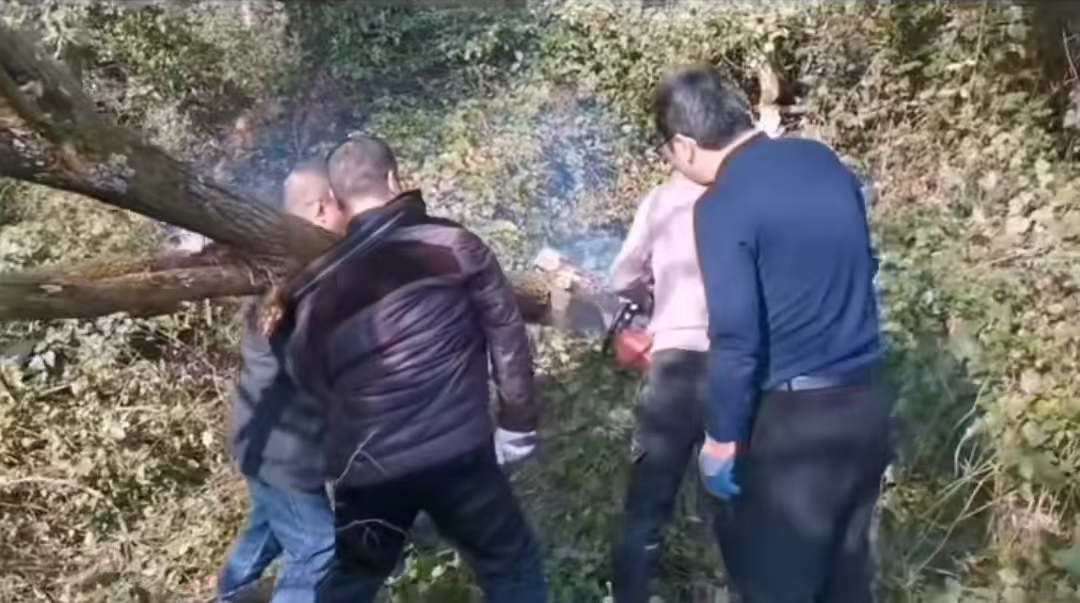 1767598889631796.jpg 微信图片_20260105153000_2_17.jpg