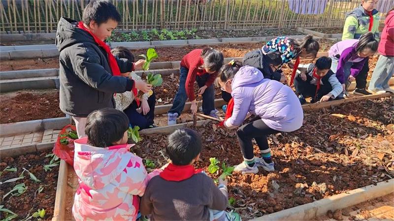 1768115620779545.jpg 微信图片_20260108155530_122_84.jpg