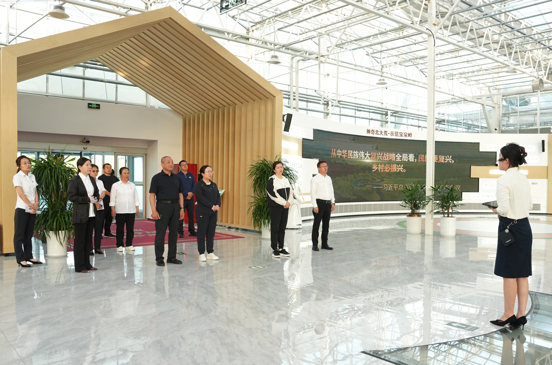 1769741819986547.jpg 3.jpg