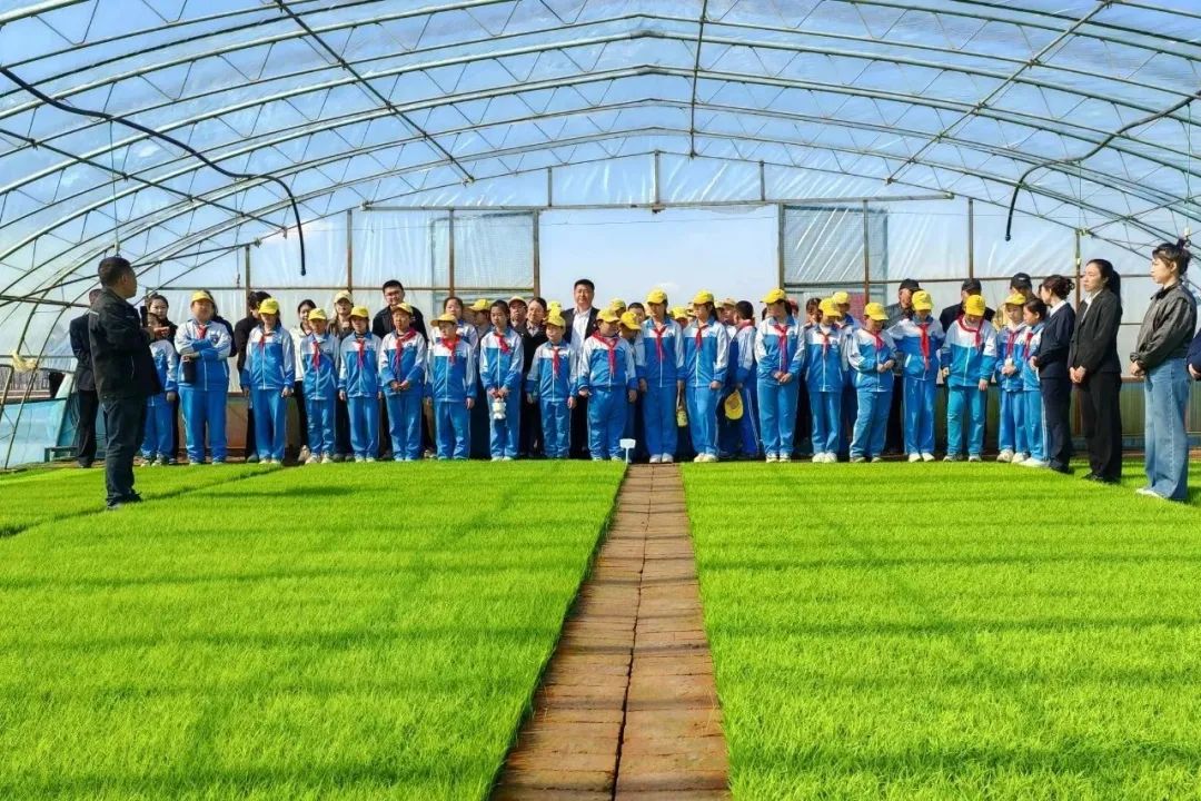 1769741931701042.jpg 10.jpg