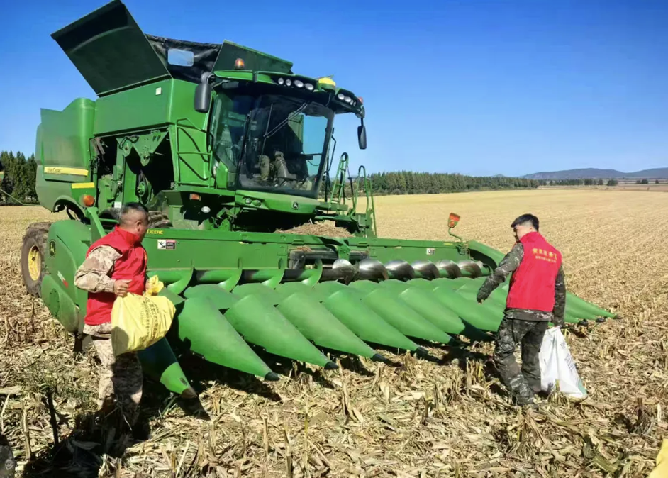 1769742127617202.png 7.png