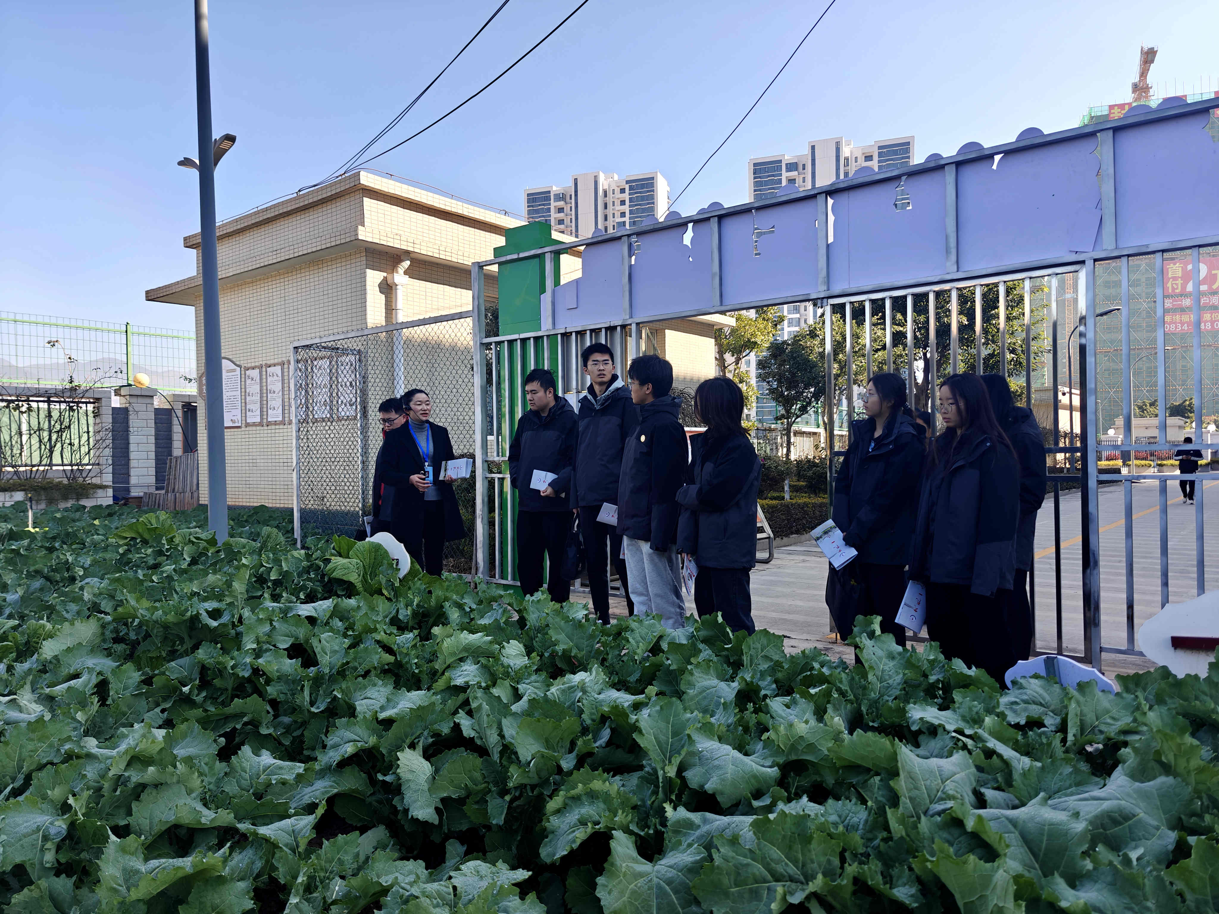 1769756367743014.jpg ACE4083AF7A3705758F05BBBBBFBFCB9.jpg