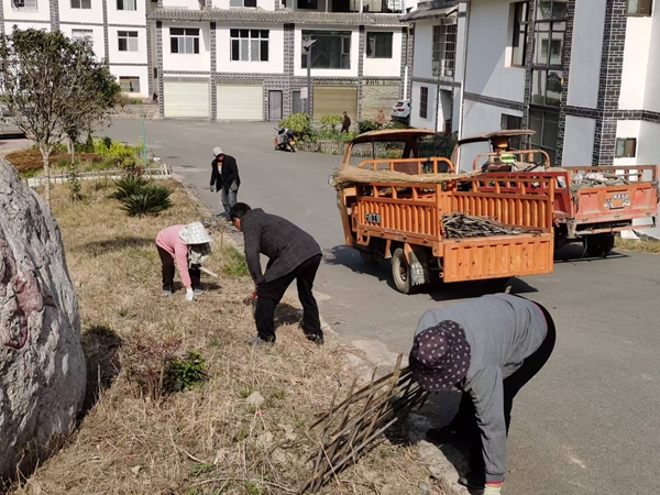 1770195010106911.jpg 卫生清理现场.jpg