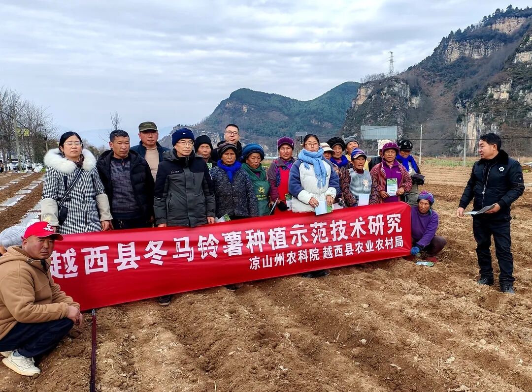 1770213054643766.jpg 01.jpg