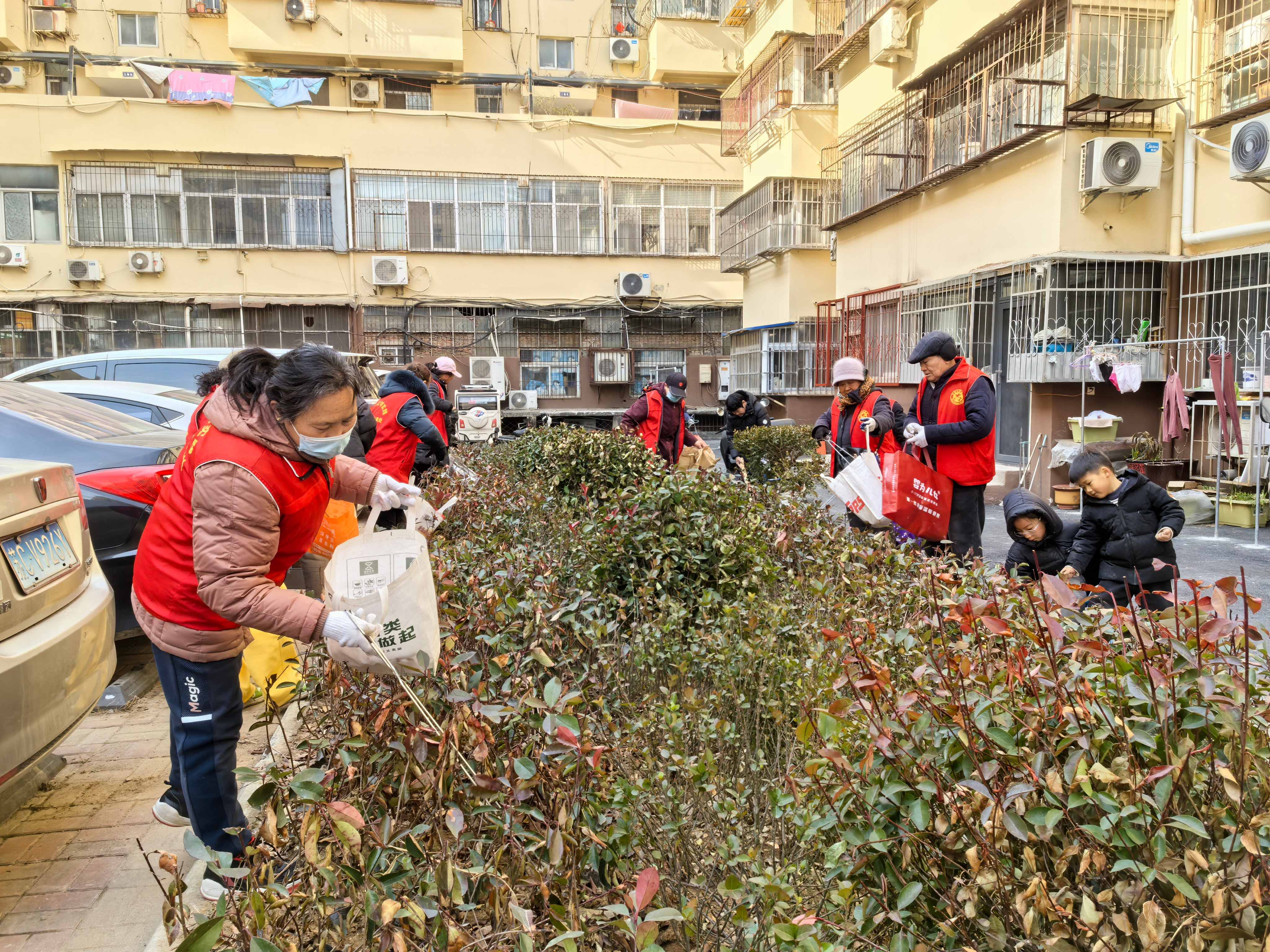 1770691736787758.jpg 1.jpg