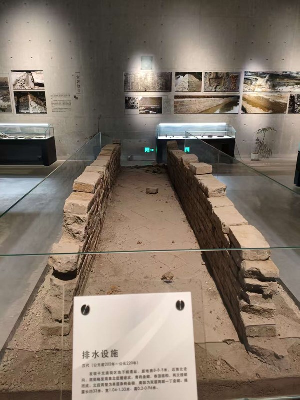 1771919118964059.jpg f77feac879433c3289131b868d4720ec_副本.jpg