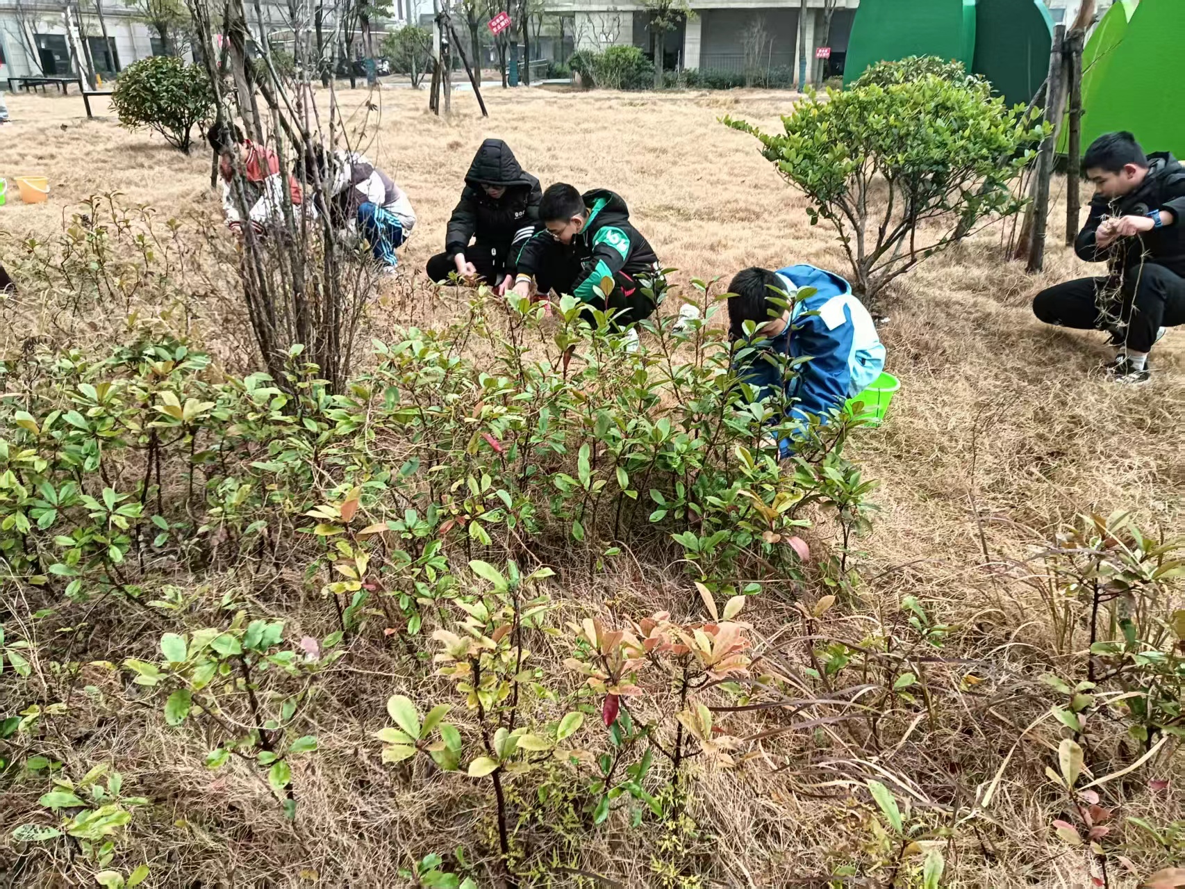 1772070104773079.jpg 微信图片_20260226094034.jpg