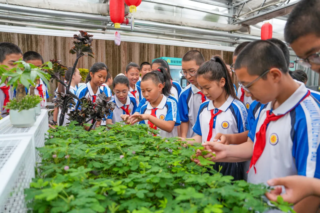 1772419439510624.png 1751594957582534.png