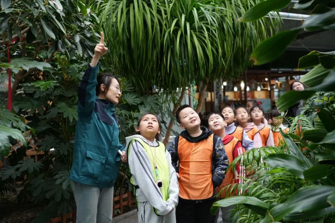 1772419460843434.jpg fca0af17e4ac63f08b8b4770f61e33cd.jpg