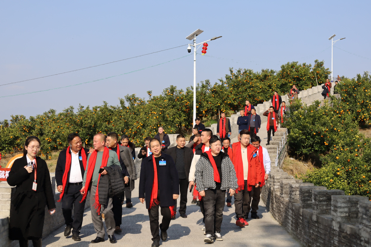 1772422290628947.png 图片1(1).png