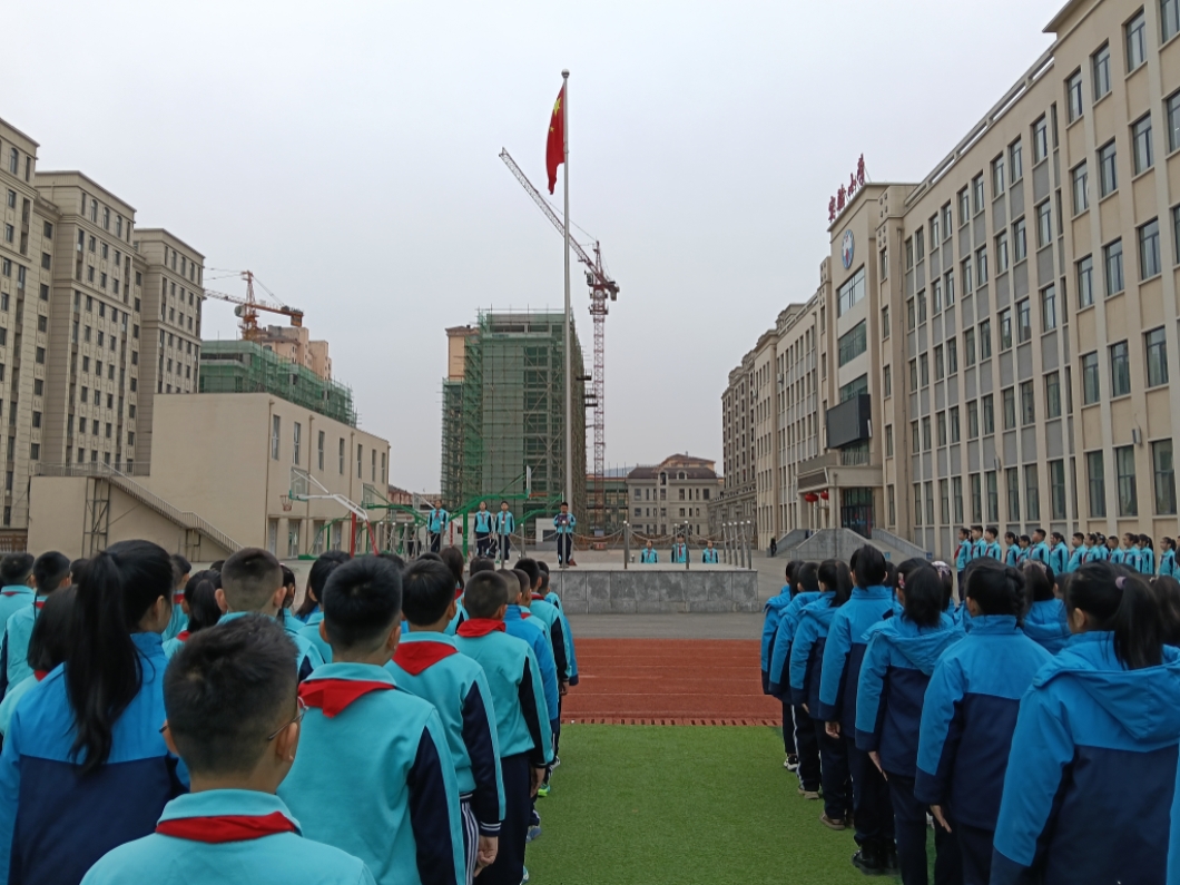 1772434109810930.jpg 实验金城龙2.jpg