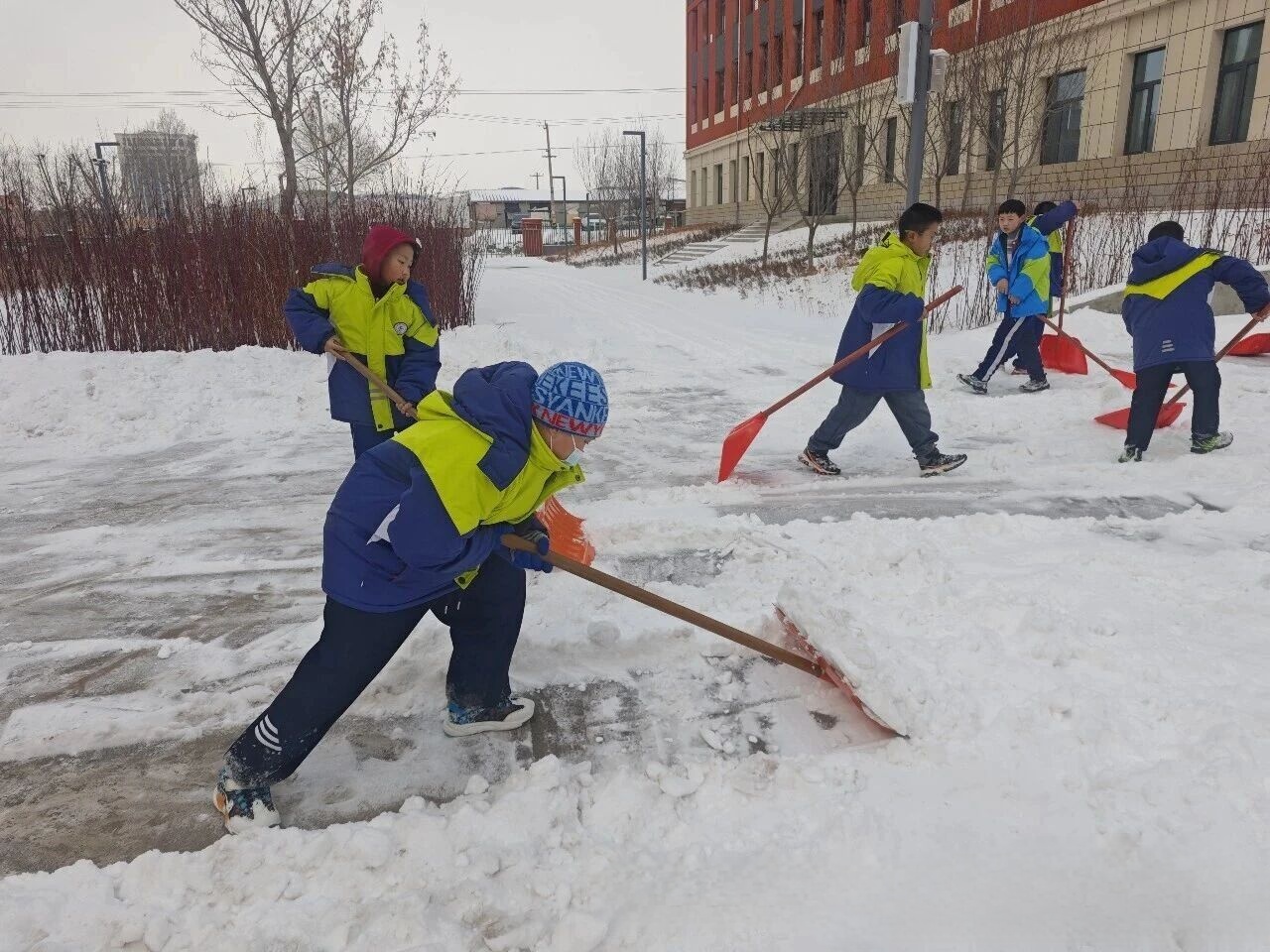 1772779997941142.jpeg 13417253578146046.jpeg