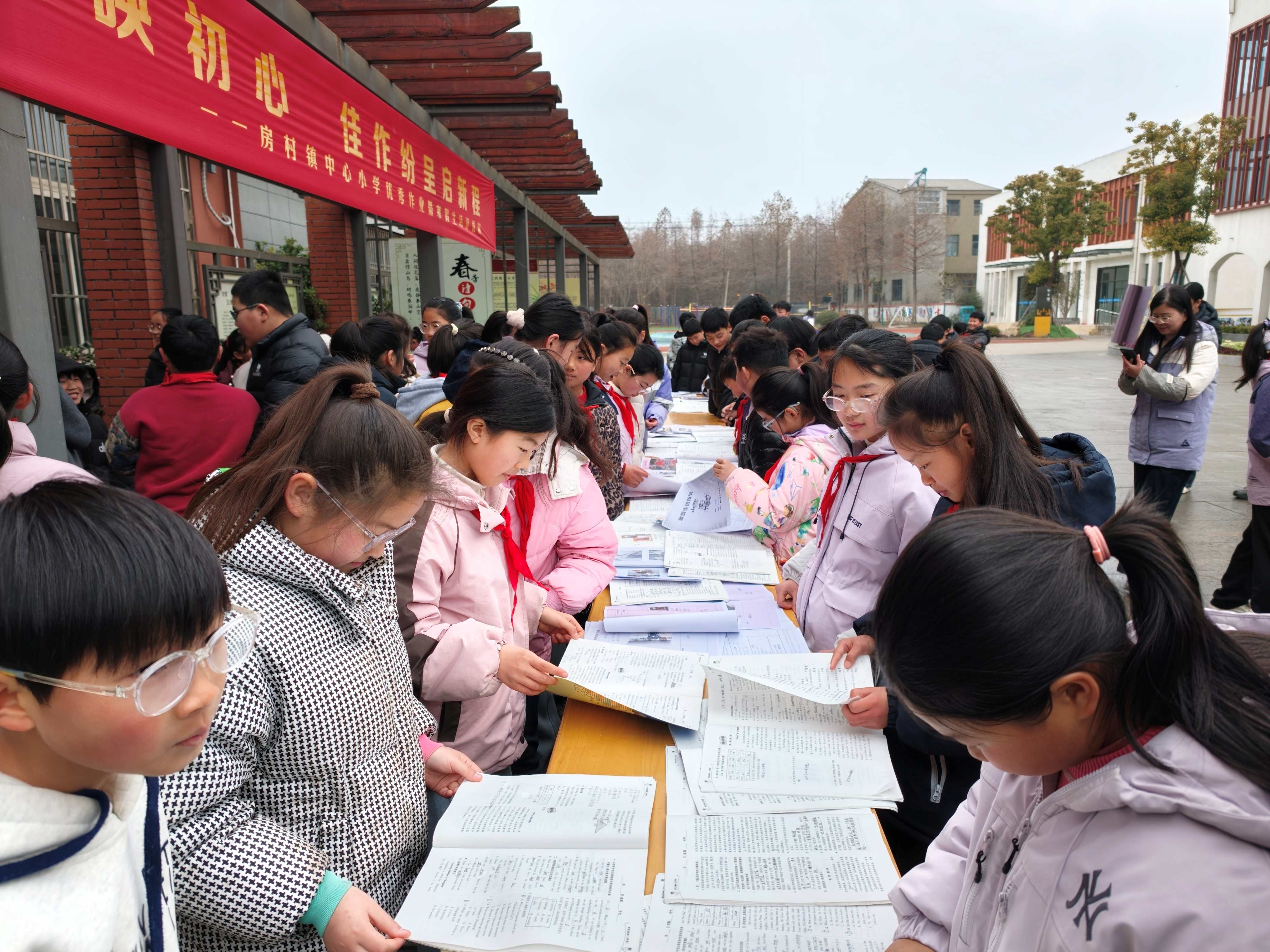 1772842994335647.jpg 10.jpg