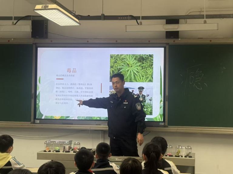 1773195639441517.jpg l6F4FU1l_87.jpg