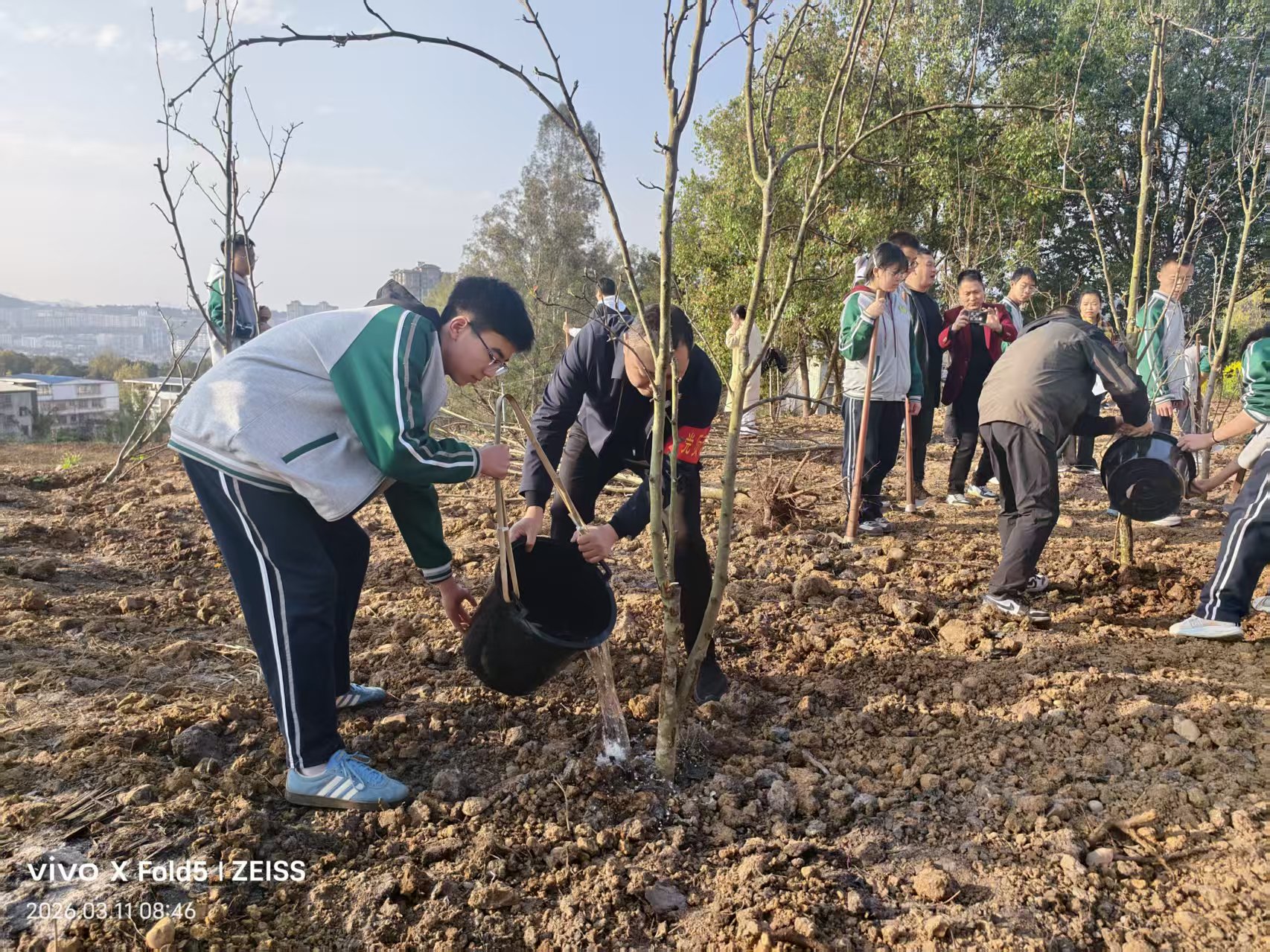 1773199058414454.jpg 1.jpg