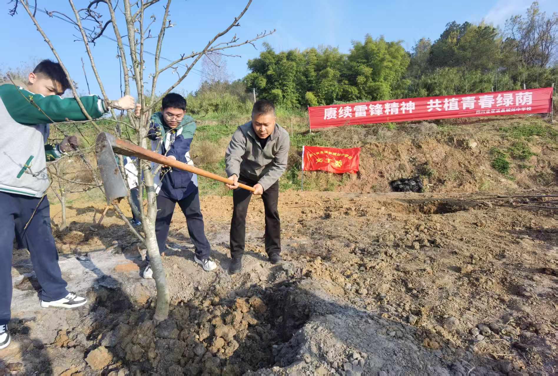 1773199169364953.jpg 1.jpg