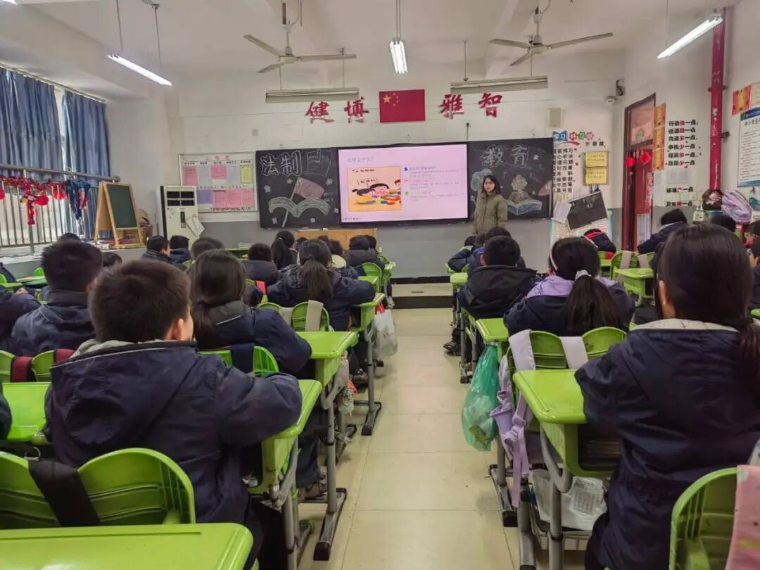 1773207519320088.jpg 3.jpg