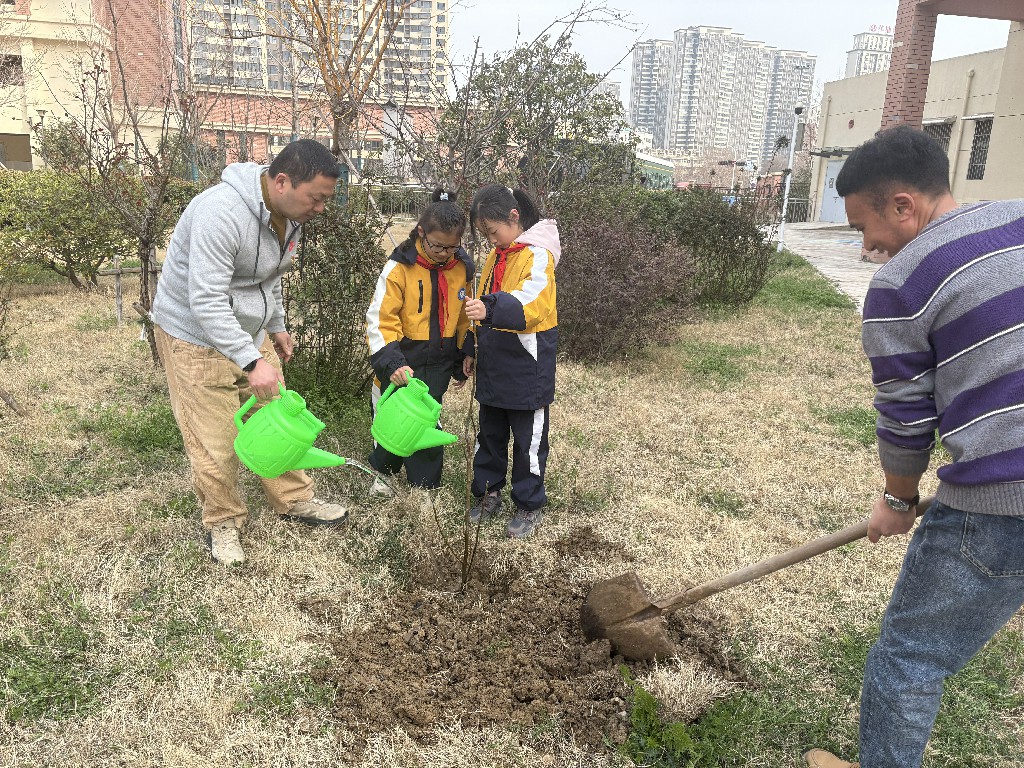 1773362591881177.jpg 02.jpg