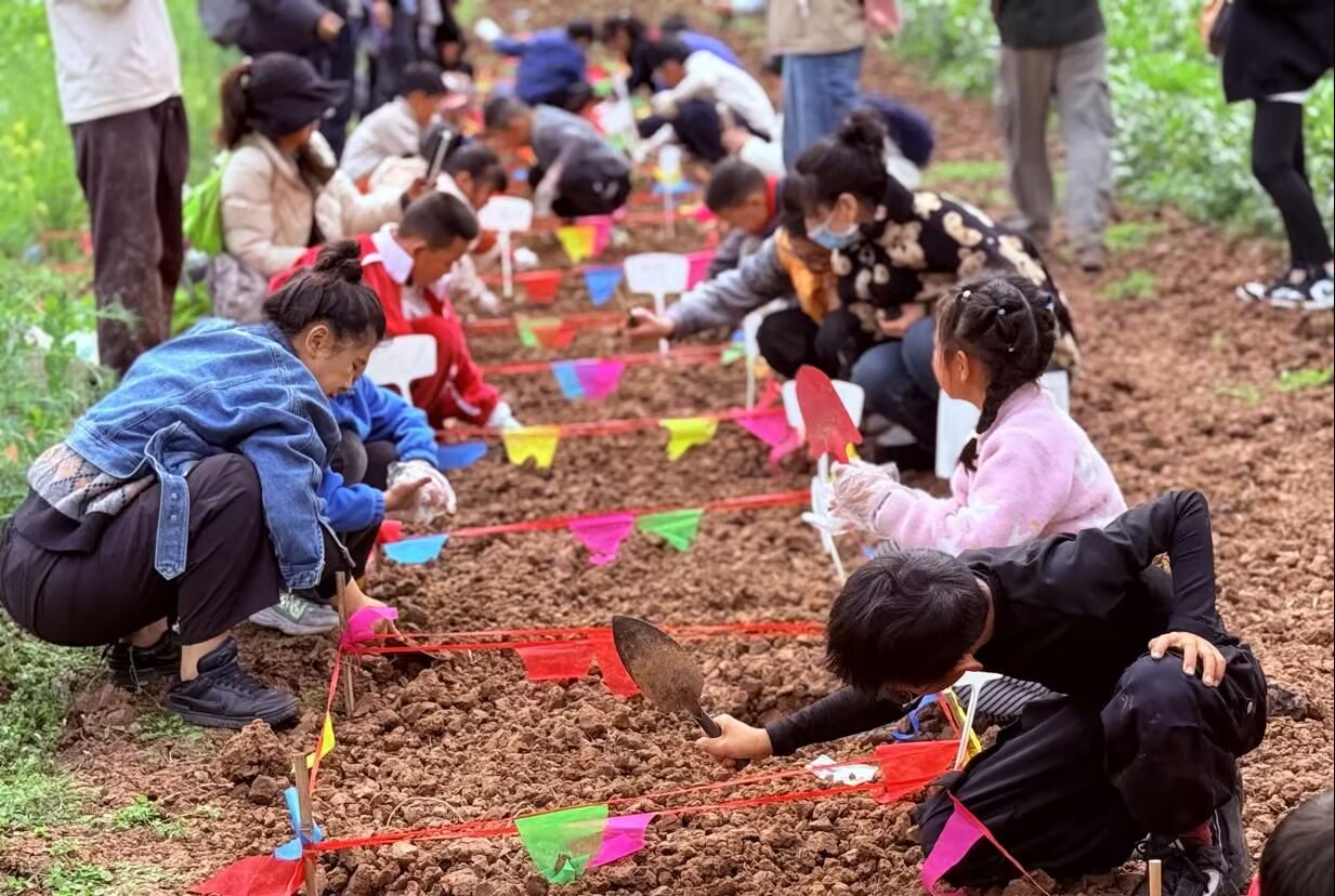 1773732232801260.jpg 11.jpg