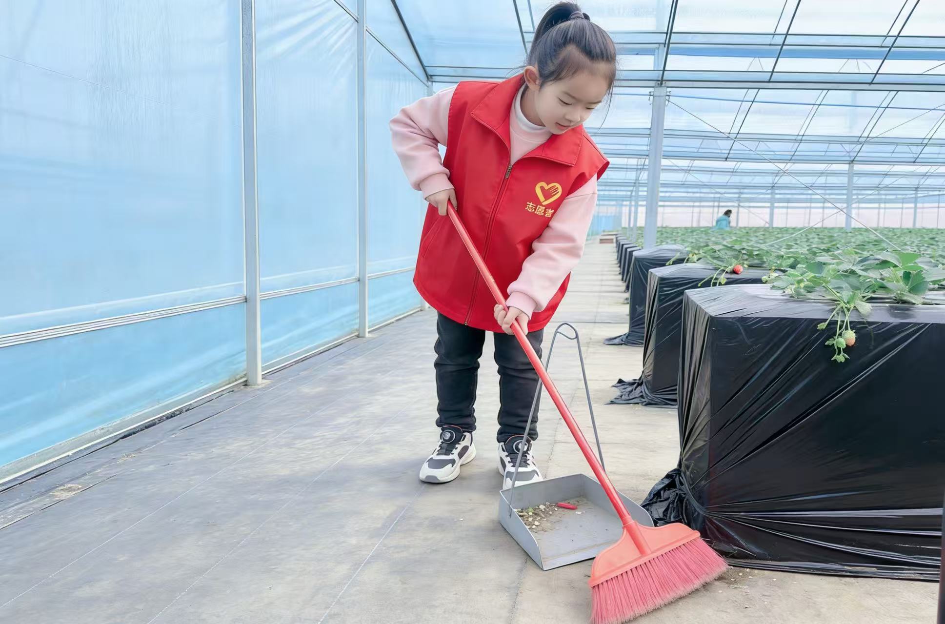 1773817507249388.jpg 5.jpg