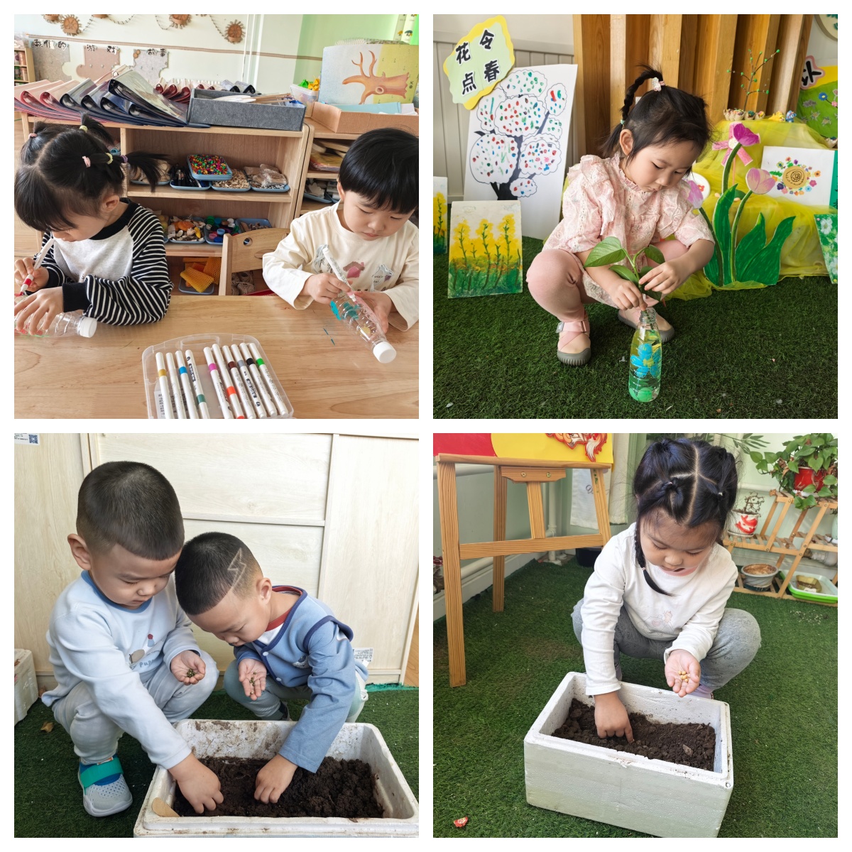 第六幼儿园关工委：“春植新绿，童护自然”幼儿护绿活动照片拼图1.jpg