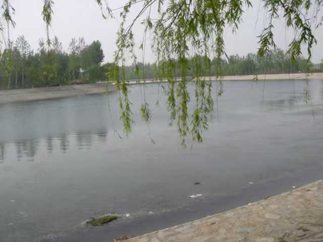 2a46b935f707dddff4facc3bbe09116e.jpg