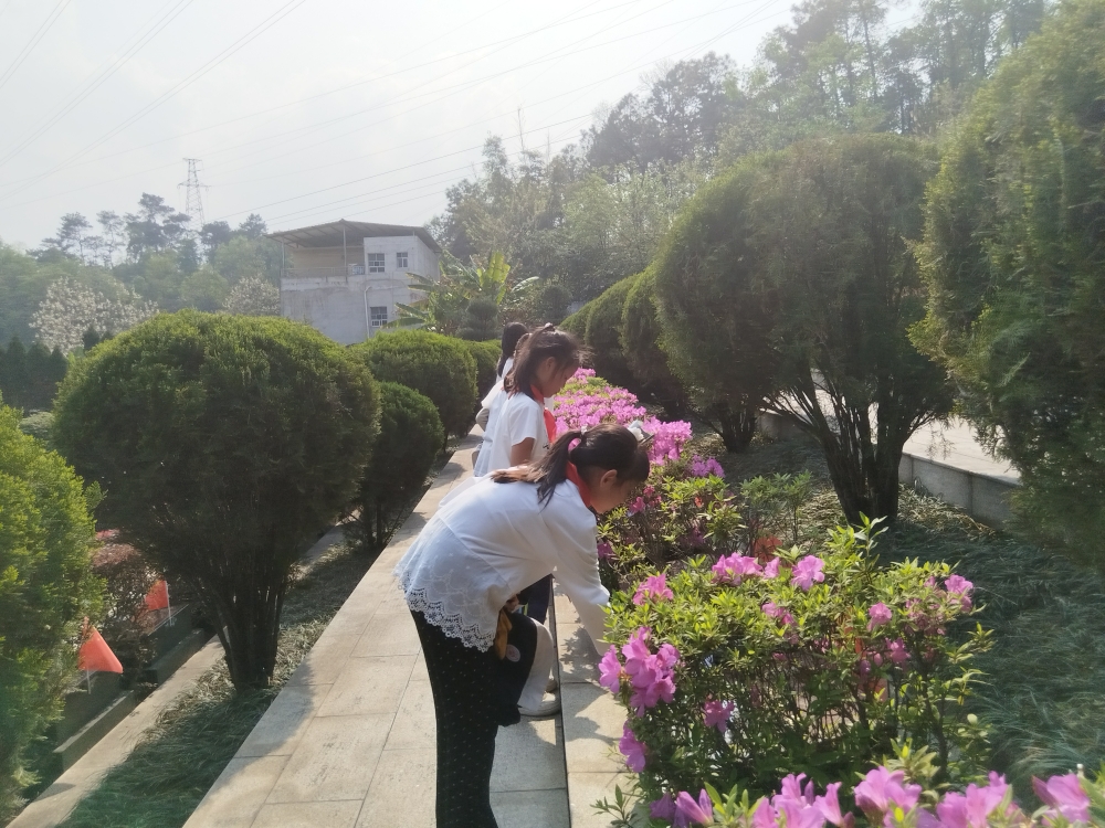 1774946073313642.jpg 学生向烈士敬献鲜花.jpg