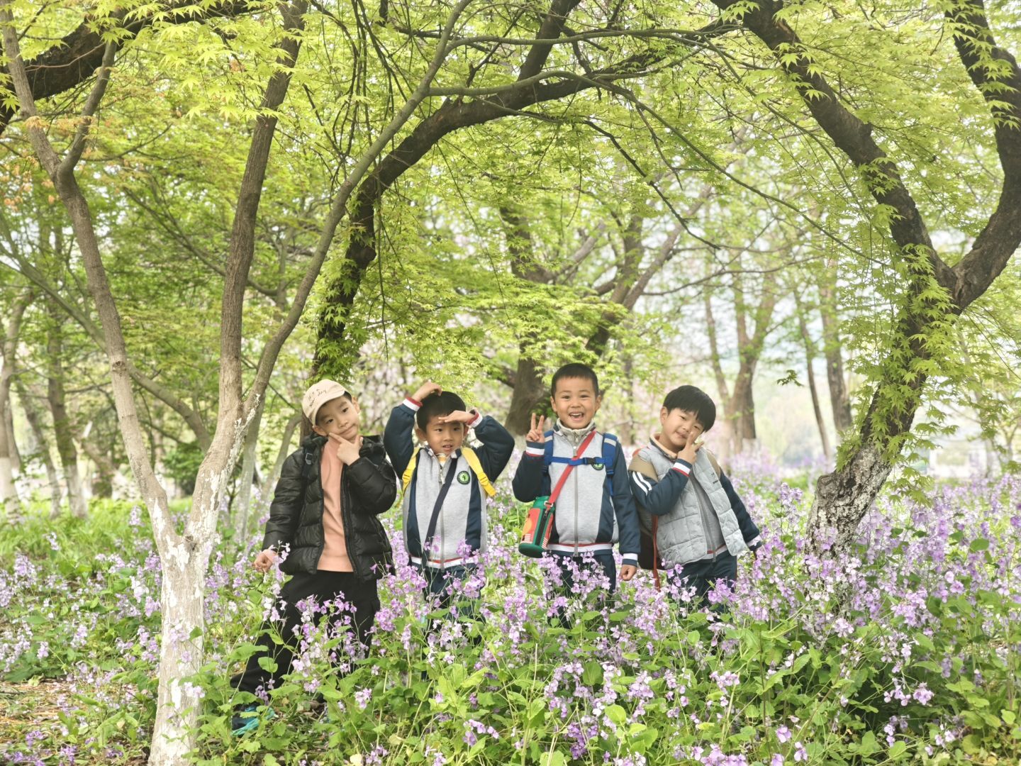 1775114287257859.jpeg 69fbfe1c5e08a75833a14e612d6c98c2.jpeg