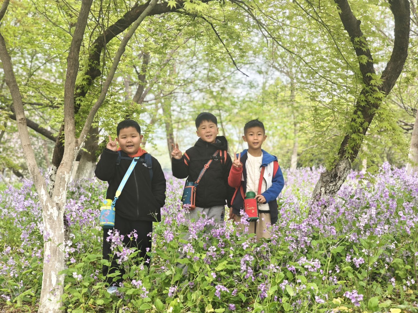 1775114290862051.jpeg 22518af844332fdd2a30824a7d7d5424.jpeg