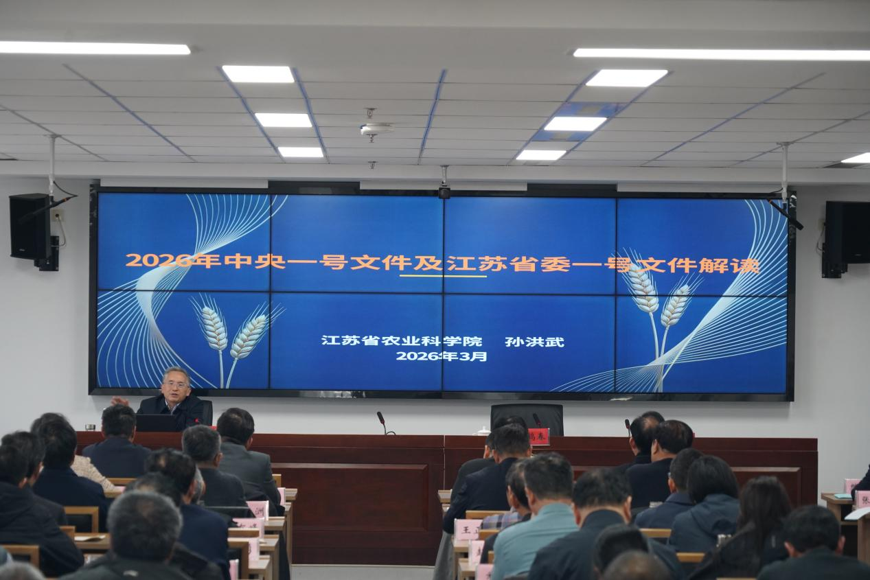 图片 3.png