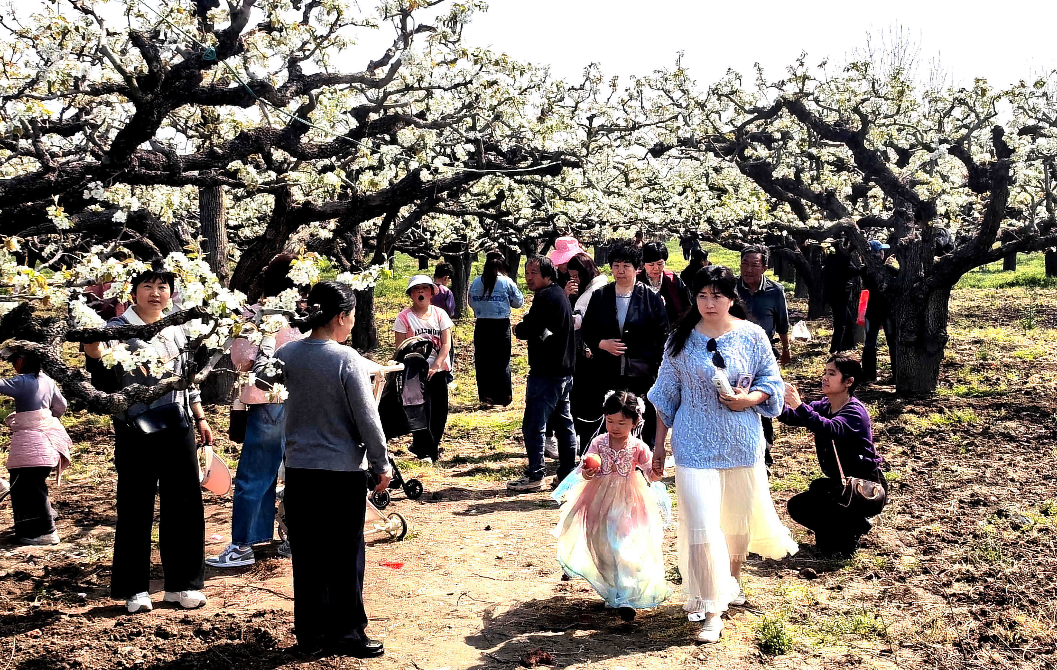 2、IMG_20260401_103547.jpg