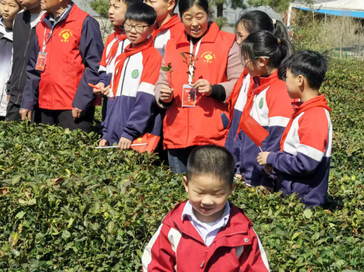 QQ2.png