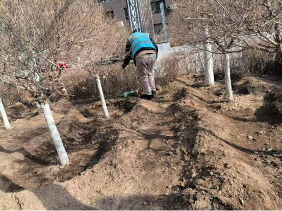 西城街道新景四季东社区：“焕新家园颜值，共绘和美画卷”活动照片3.png