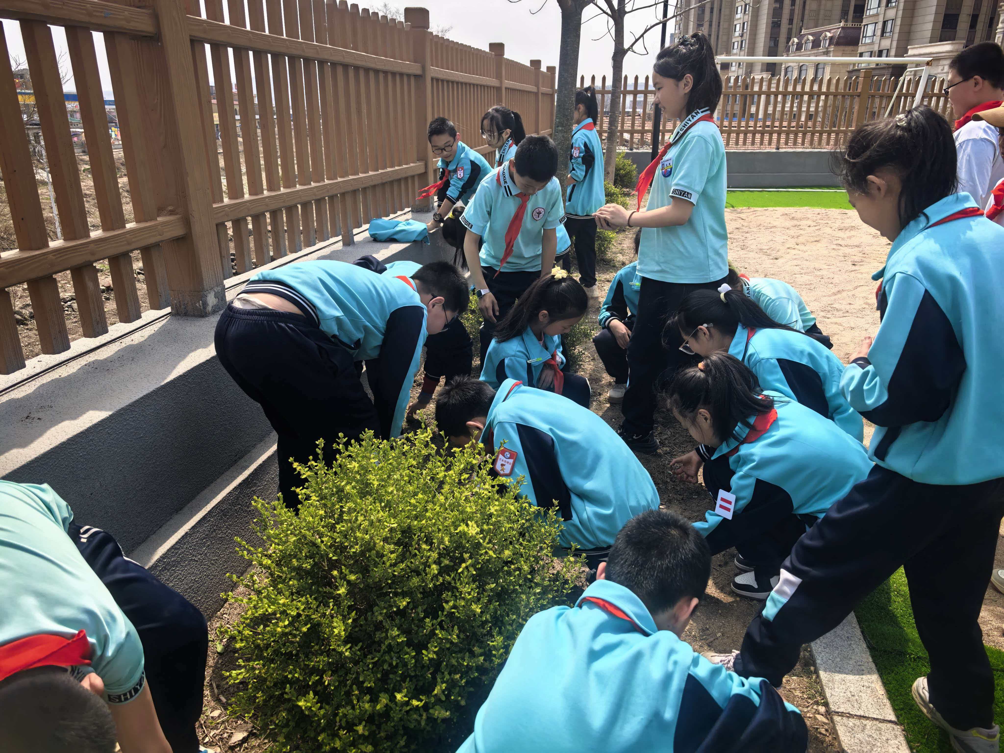 实验校种植园.jpg