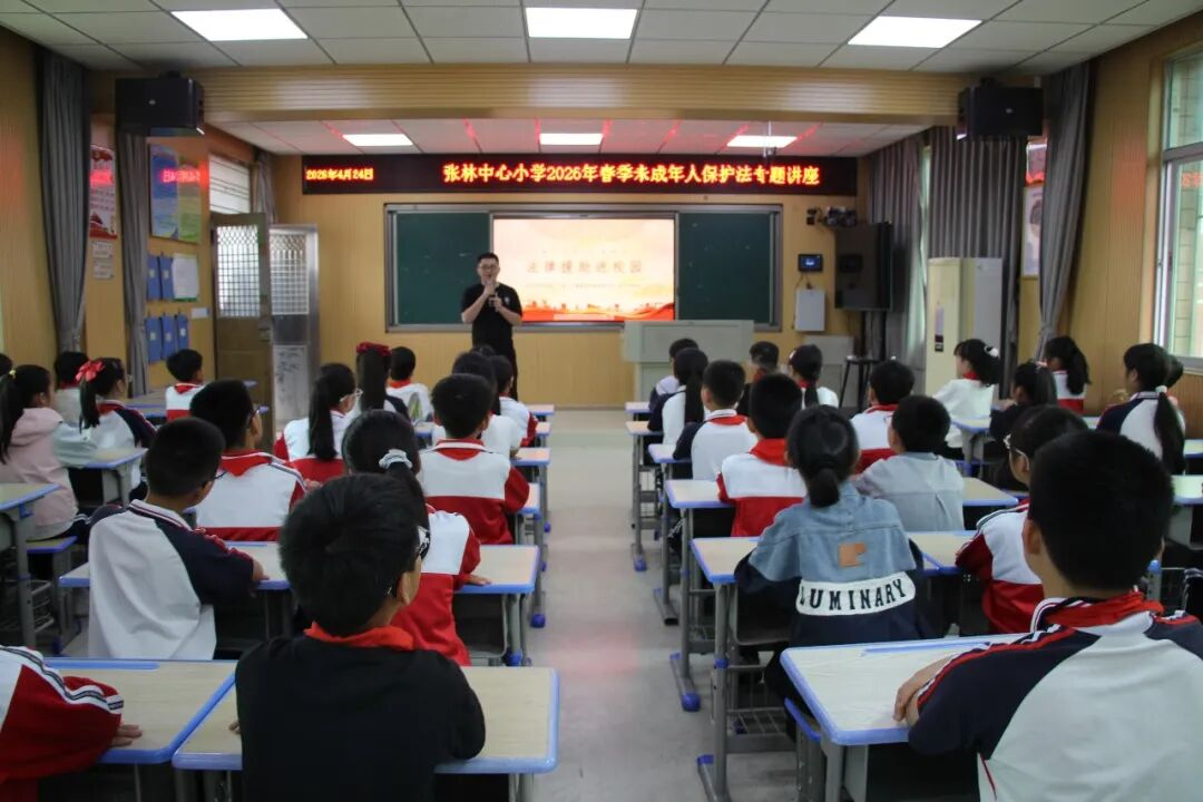 图片12.png
