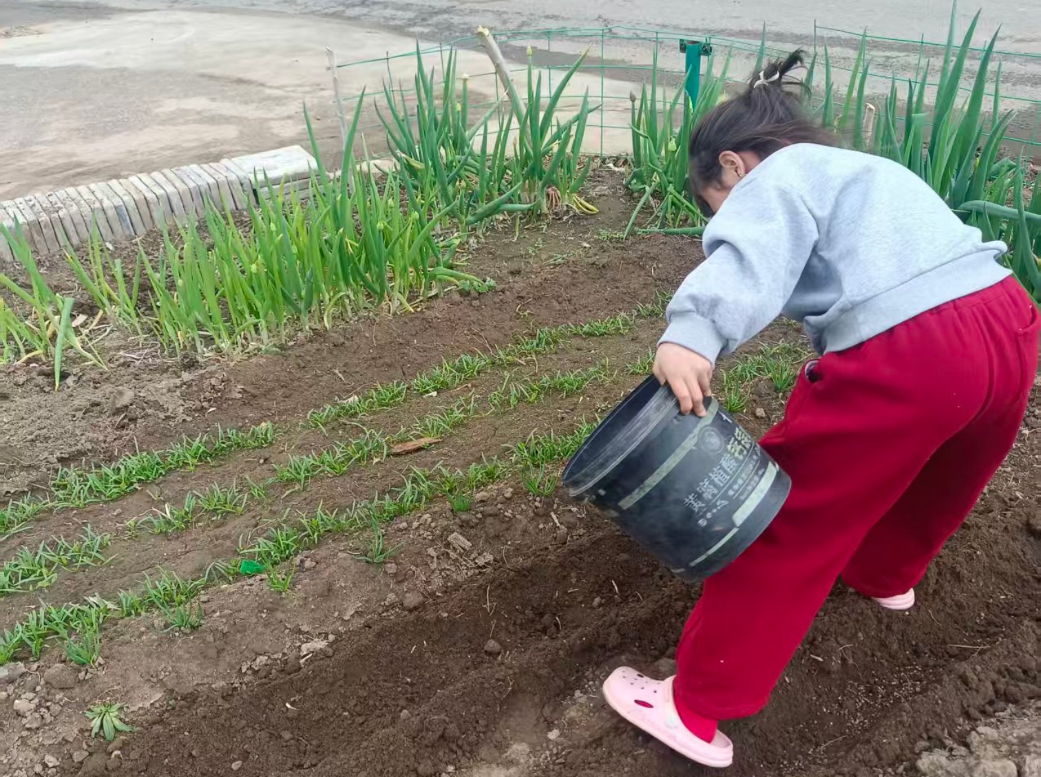 马蹄营子学校“乐享劳动，赋能成长”活动照片8_副本.jpg