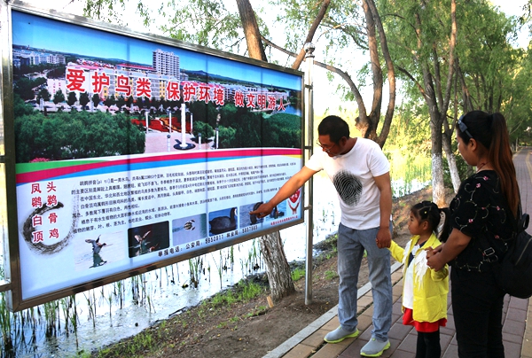 1778742464377937.jpg IMG_1640_副本.jpg