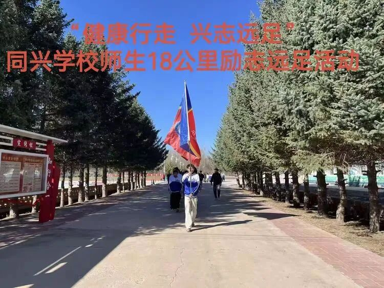 1779177319828367.png 图片9.png