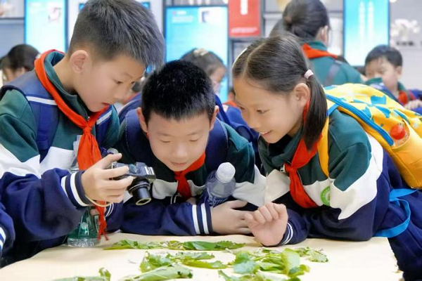 【震泽镇】春日研学启新知 蚕桑文化润少年2.png