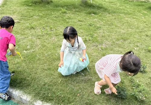 63c40c94ea5b088ec0655e41fe026445_看图王.jpg