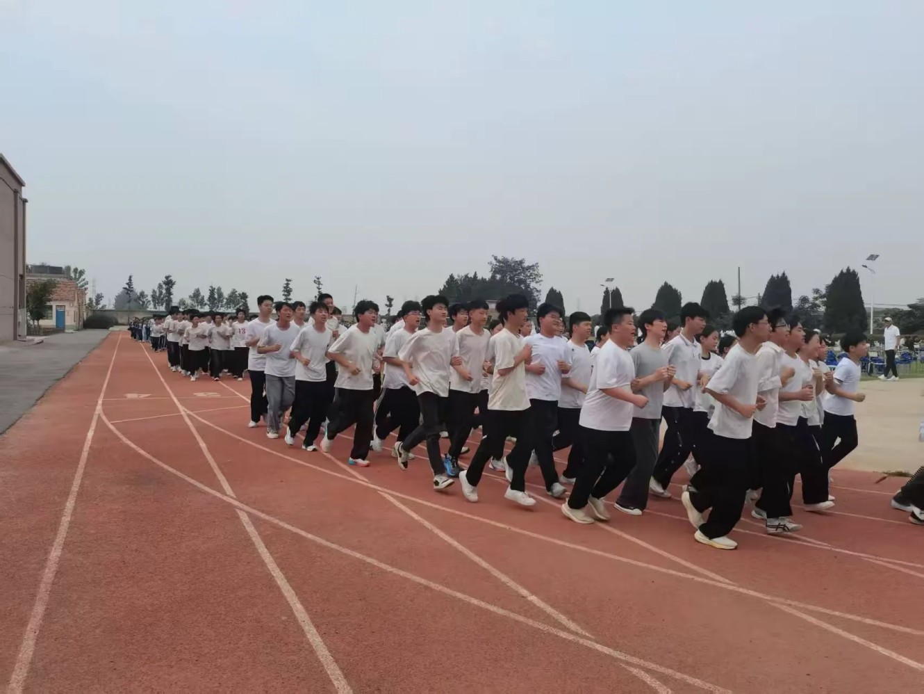 1780797319187416.jpg 图片8.jpg